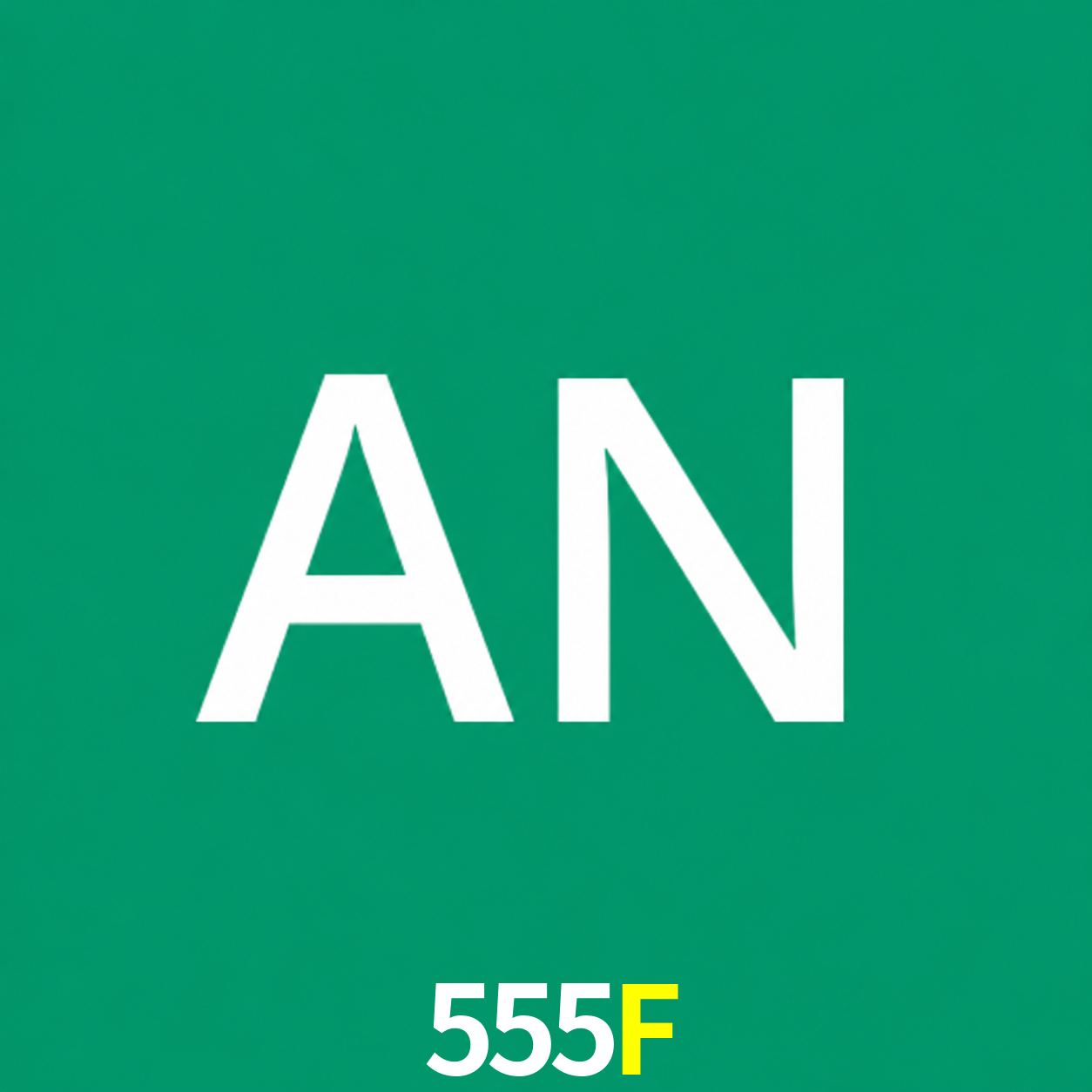 Adi Nugroho - Founder & CEO 555F Indonesia